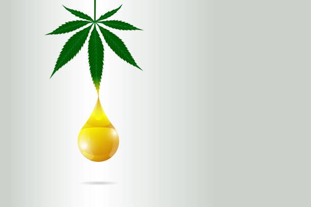 CBD Products Banner